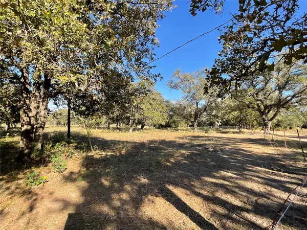 a view of yard with green space