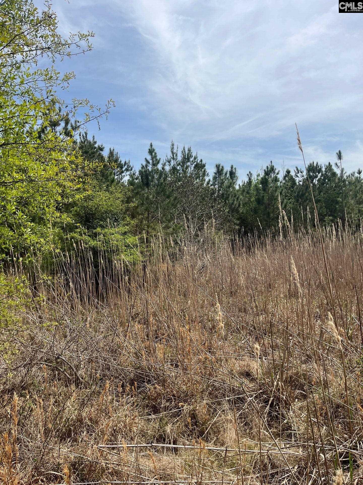 4 Beaver Dam Road Cassatt, SC 29032 - Photo 3 of 5