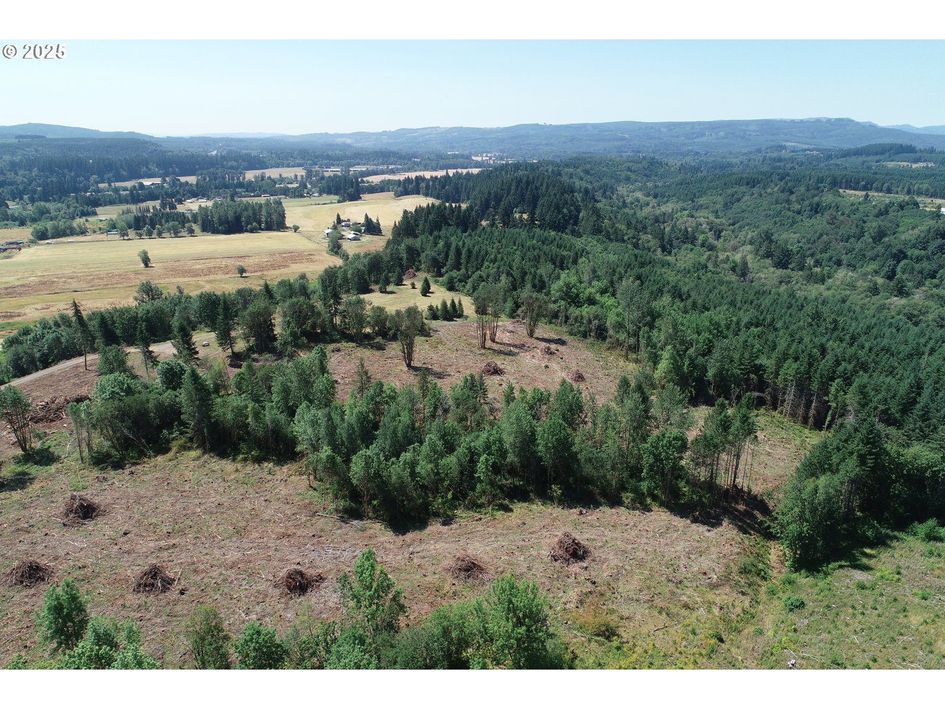 0 State Route, Unit 1 Toledo, WA 98591 - Photo 4 of 7 a view of a dry yard with trees