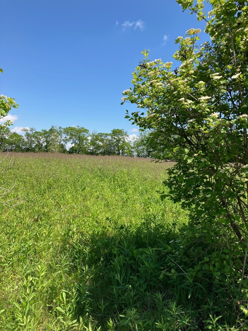 2807 Brickhouses Road Urbana, IL 61802 - Photo 6 of 8