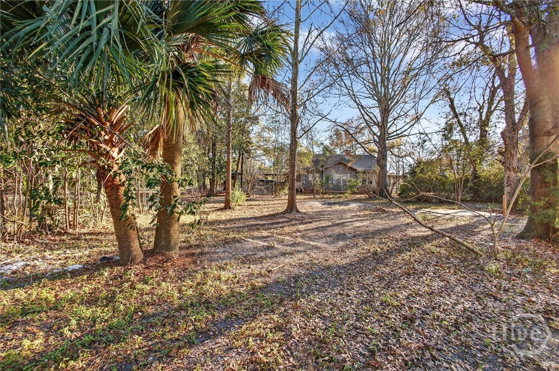 150 Church Street Pembroke, GA 31321 - Photo 57 of 71