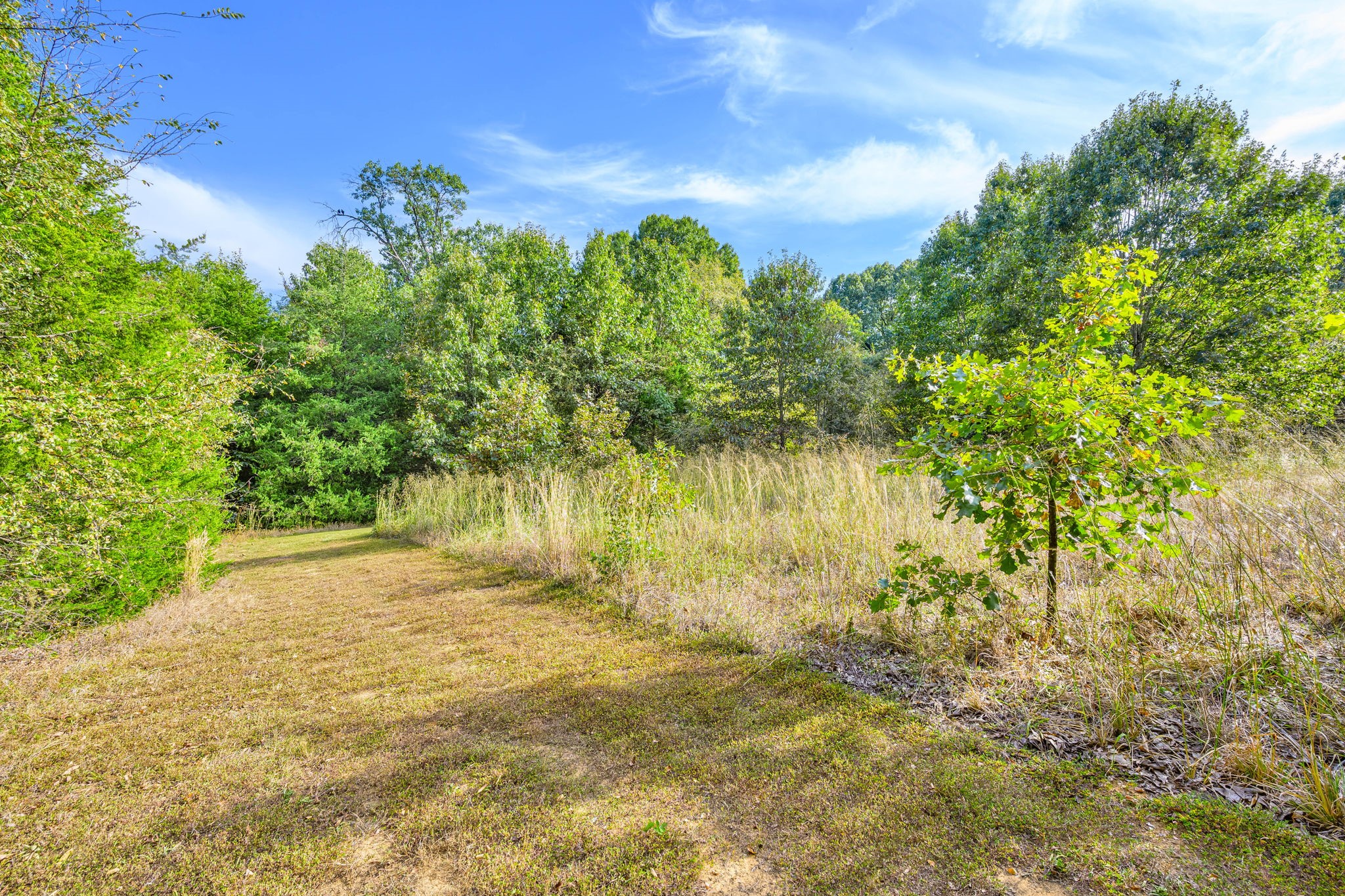 312 Magnus Road Denison, TX 75021 - Photo 8 of 50