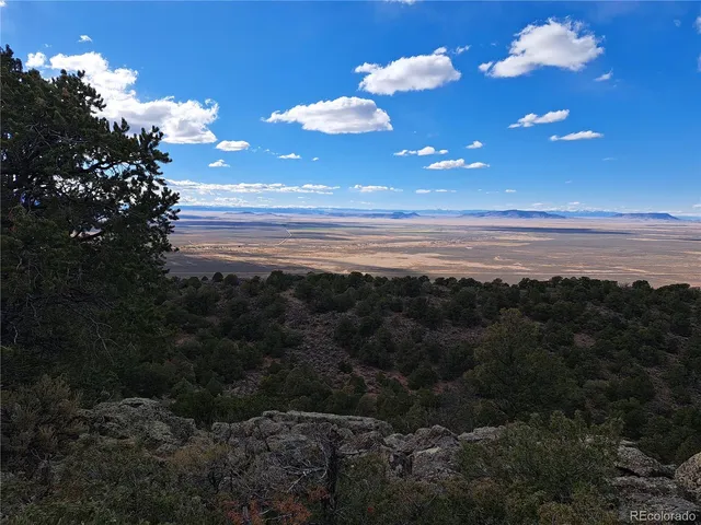 a view of a bunch of trees