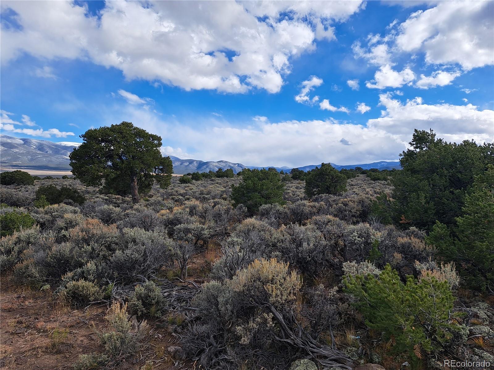 Lot 45 Elk Park Road San Luis, CO 81152 - Photo 6 of 7 a view of a bunch of trees