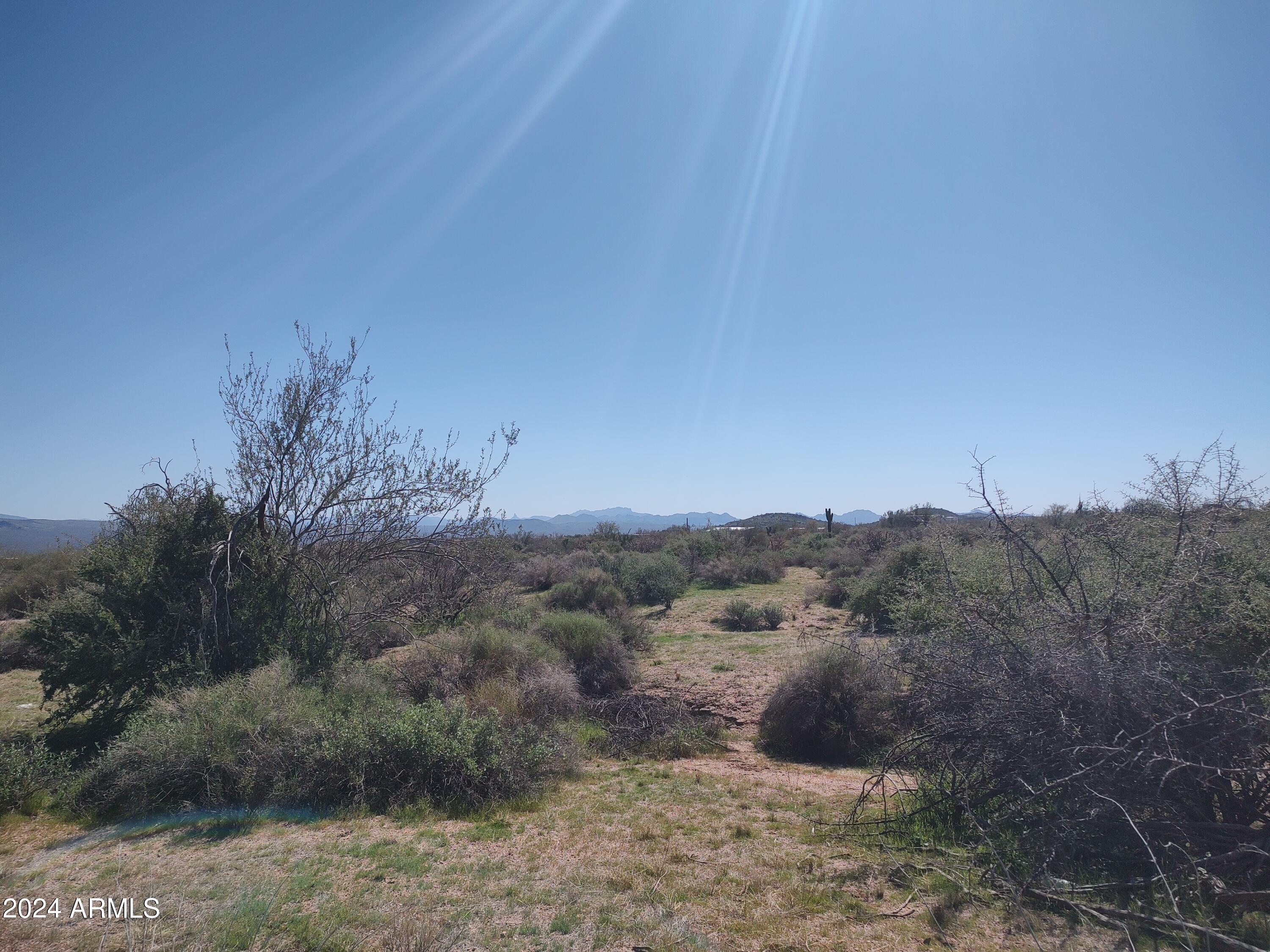 293-xx North 170th Street Rio Verde, AZ 85263 - Photo 4 of 23 Natural Desert Peaceful Living