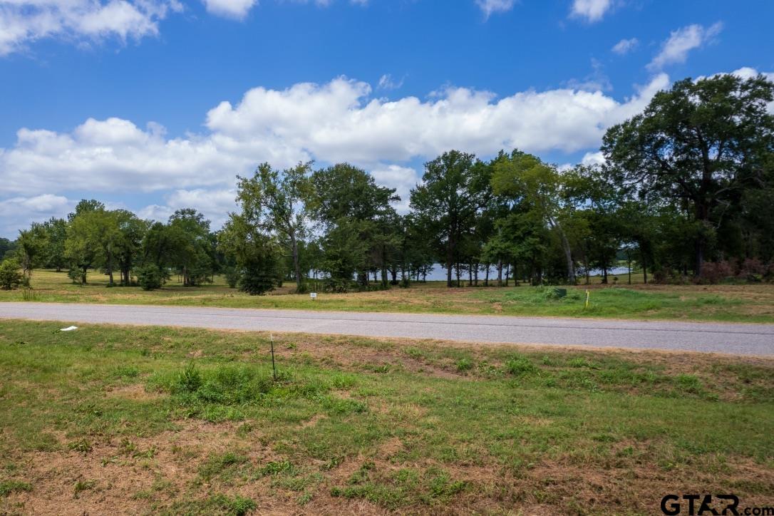 18 & 19 Mount Mount Pleasant, TX 75455 - Photo 7 of 8 a view of swimming pool with outdoor space and trees in the background