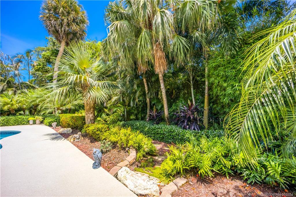 121 Hillcrest Drive Stuart, FL 34996 - Photo 51 of 65 a view of a garden with plants