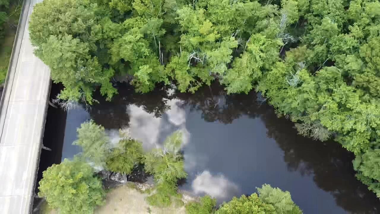 219 Southwest Cannon Bridge Road Orangeburg, SC 29115 - Photo 15 of 22 2024-06-26-12-50-00-139