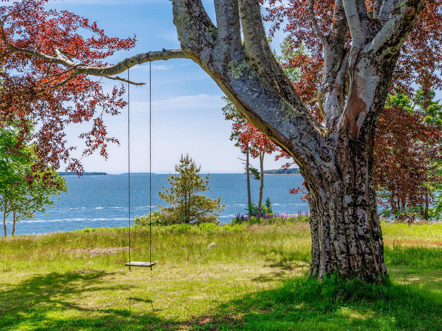 82 Common Lane Northeast Harbor, ME 04662 - Photo 64 of 67 39-Faraway, Greening Island-DTP