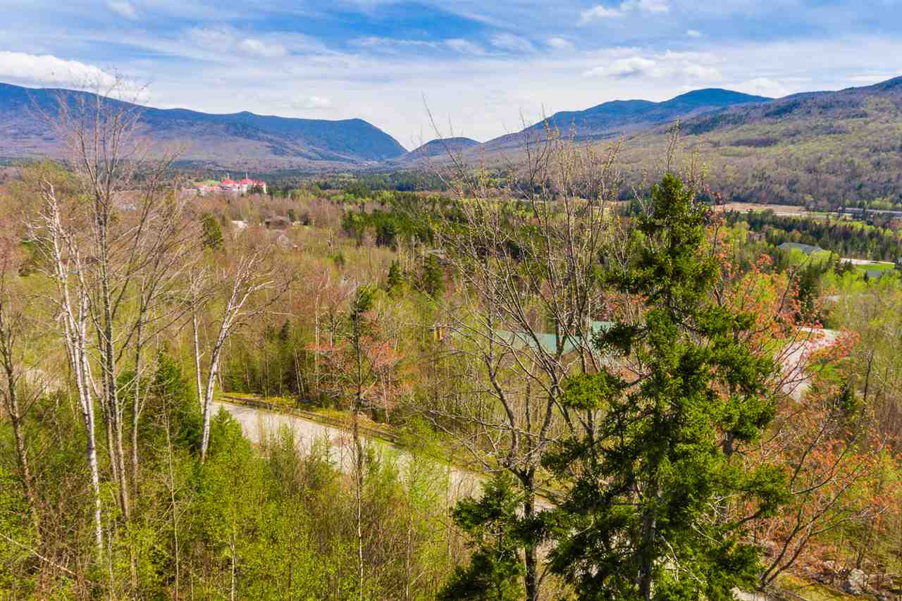 Dartmouth Ridge Road, Unit 7 Twin Mountain, NH 03595 - Photo 1 of 12 Gallery Image 1