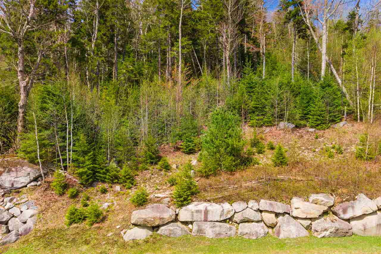Dartmouth Ridge Road, Unit 7 Twin Mountain, NH 03595 - Photo 3 of 12 Gallery Image 3