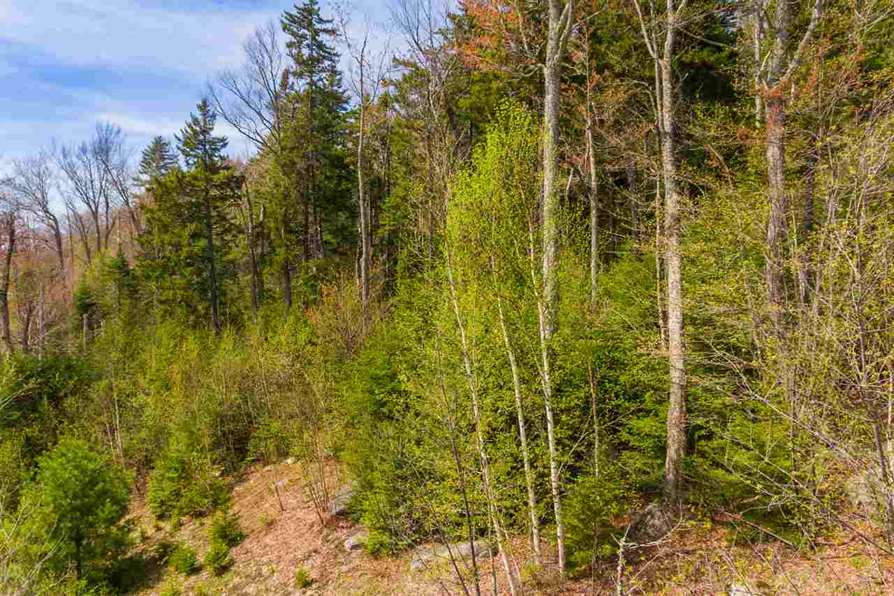 Dartmouth Ridge Road, Unit 7 Twin Mountain, NH 03595 - Photo 4 of 12 Gallery Image 4