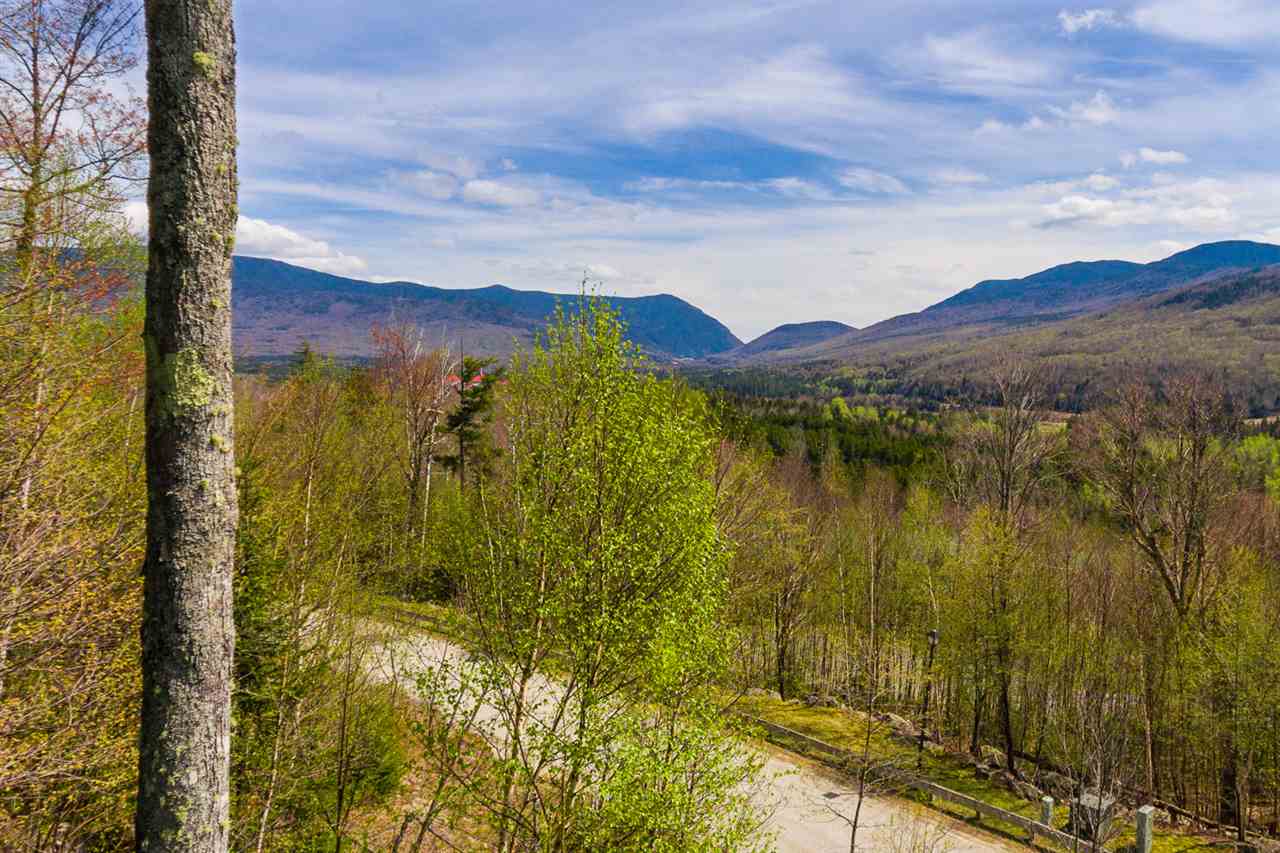 Dartmouth Ridge Road, Unit 7 Twin Mountain, NH 03595 - Photo 6 of 12 Gallery Image 6