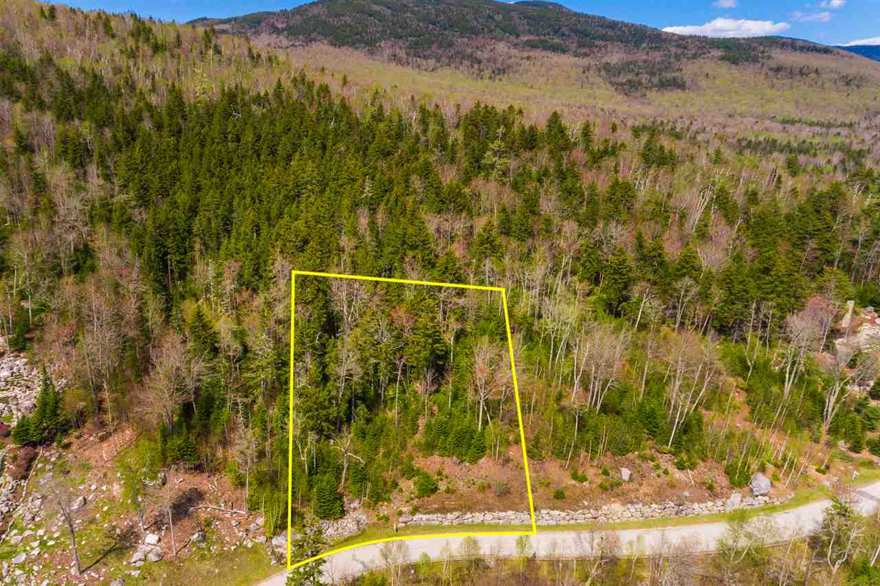 Dartmouth Ridge Road, Unit 7 Twin Mountain, NH 03595 - Photo 7 of 12 Gallery Image 7