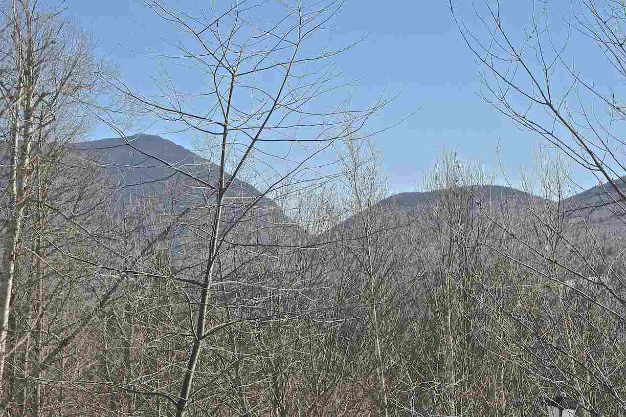 Dartmouth Ridge Road, Unit 7 Twin Mountain, NH 03595 - Photo 9 of 12 Gallery Image 9
