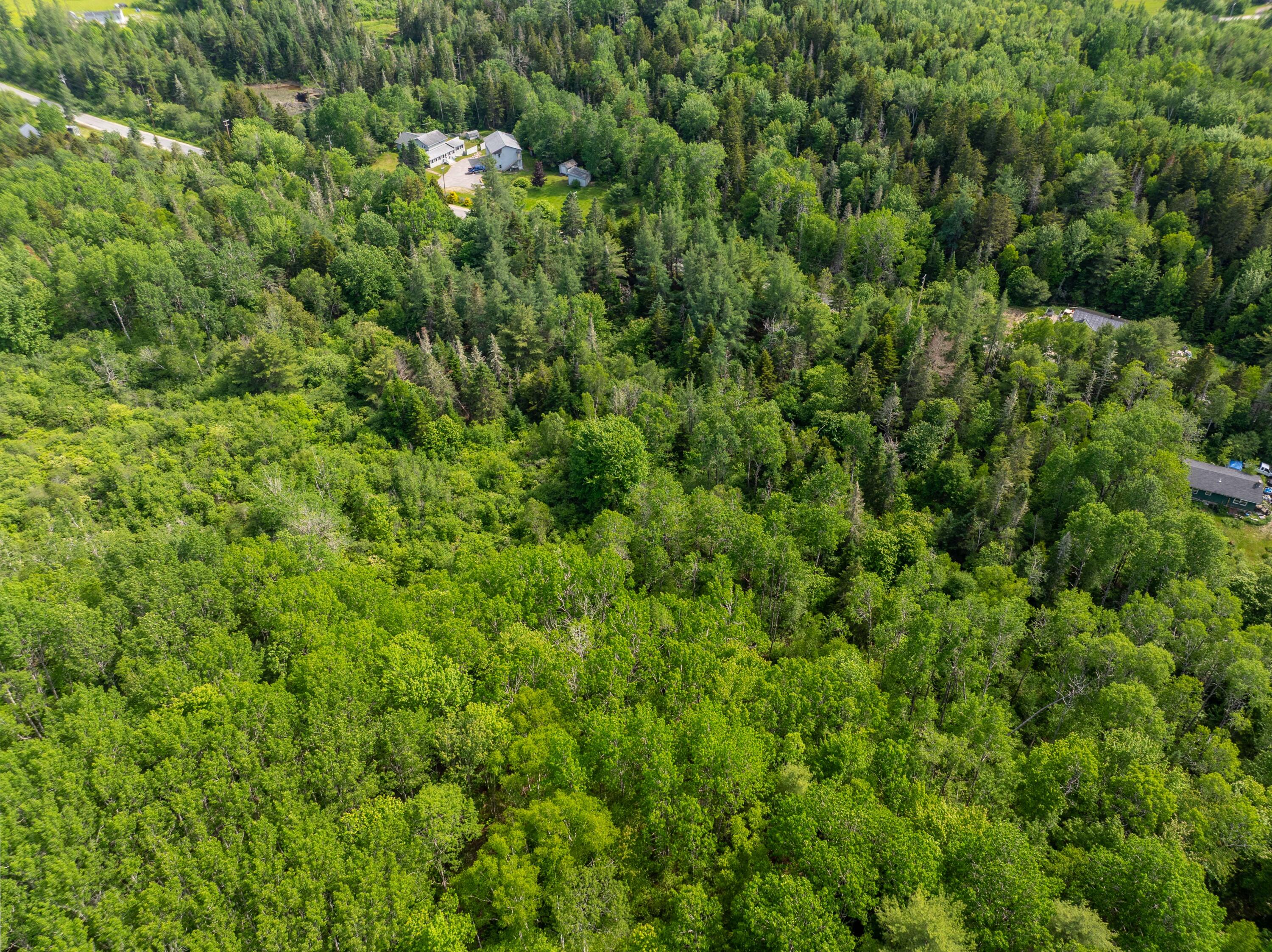Lot #28 Station Road Jonesboro, ME 04648 - Photo 5 of 26 6-17-26 Station Rd Lot Jonesboro (10 of