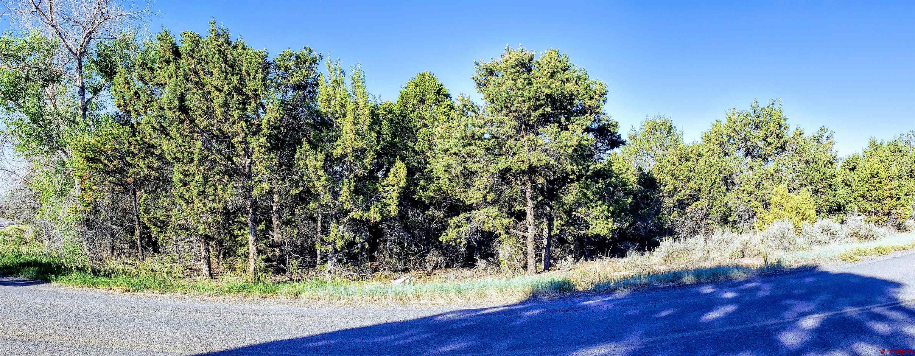 Lot 2 2550th Road Cedaredge, CO 81413 - Photo 1 of 6 Gallery Image 1