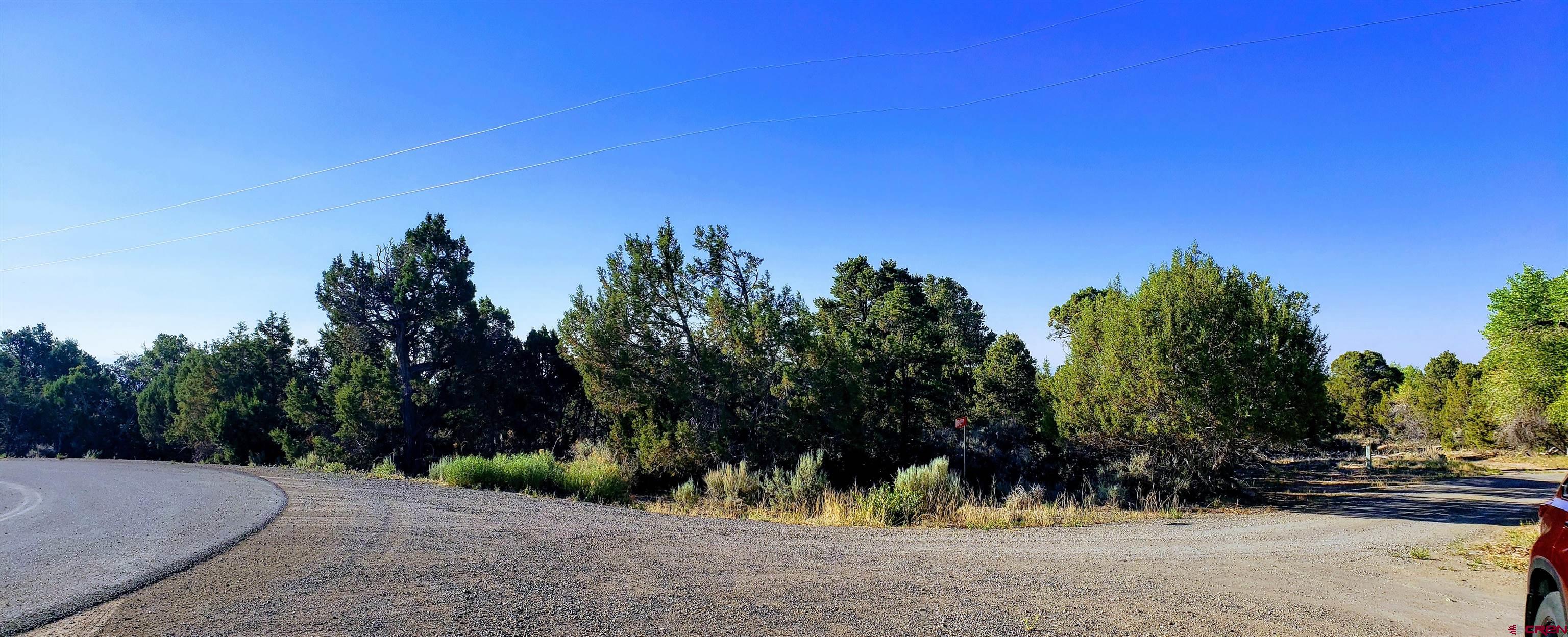 Lot 2 2550th Road Cedaredge, CO 81413 - Photo 2 of 6 Gallery Image 2