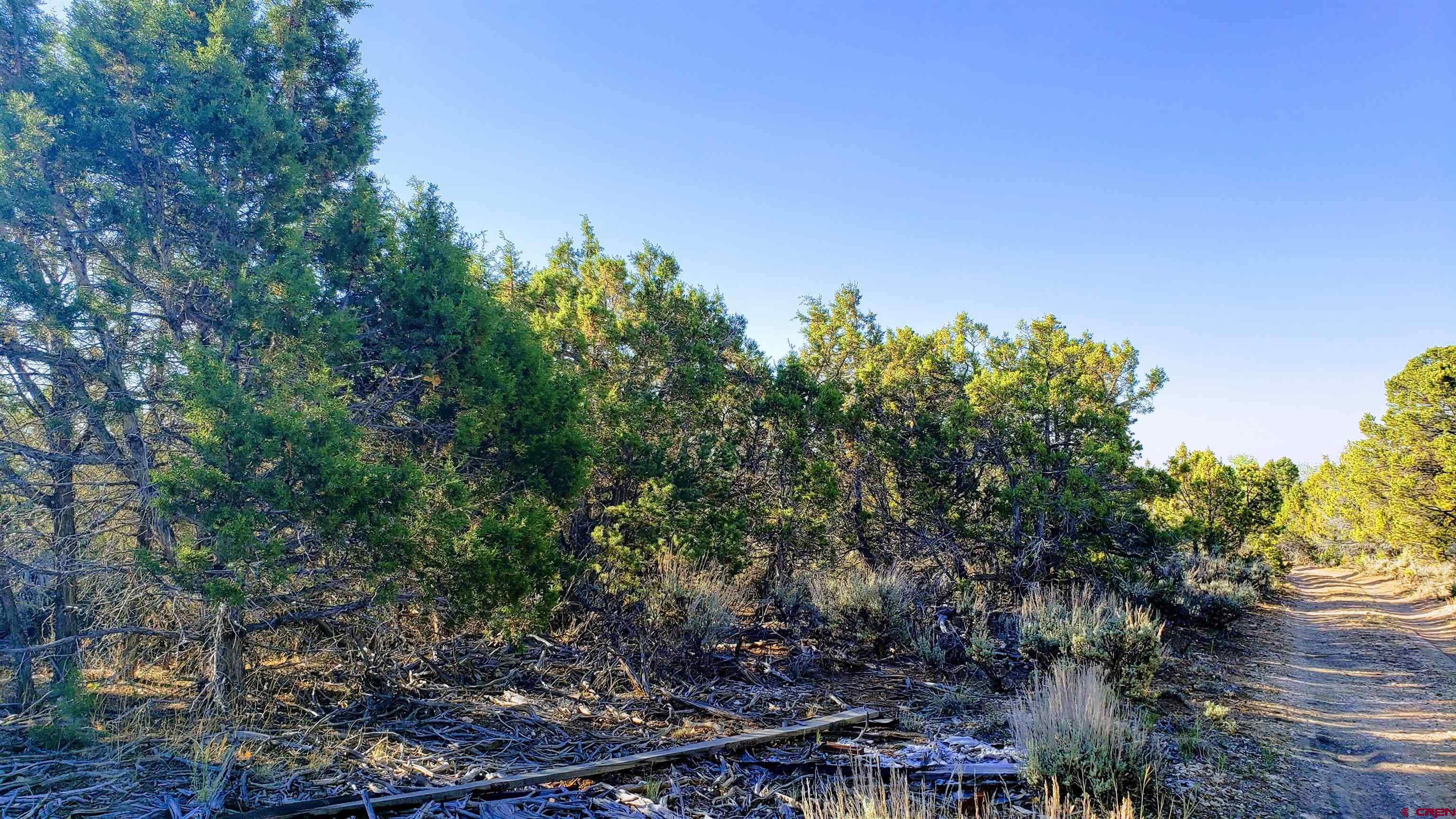 Lot 2 2550th Road Cedaredge, CO 81413 - Photo 3 of 6 Gallery Image 3
