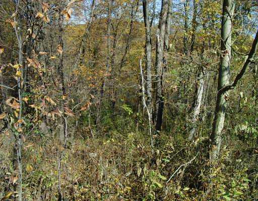 Lot 3 Brewer Road Freedom, PA 15042 - Photo 11 of 12 Land/Lot.