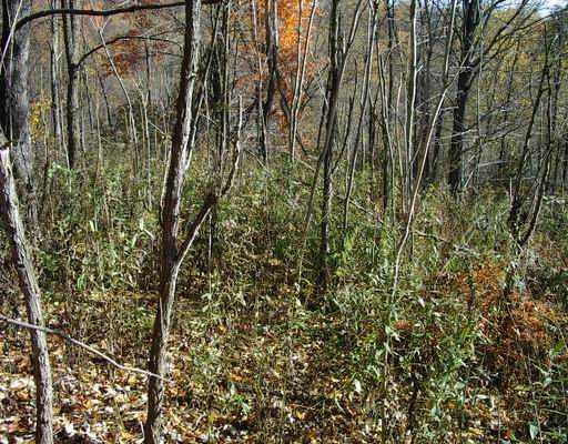 Lot 3 Brewer Road Freedom, PA 15042 - Photo 3 of 12 Land.