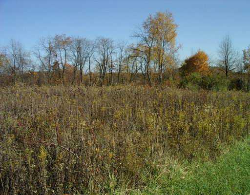 Lot 3 Brewer Road Freedom, PA 15042 - Photo 5 of 12 Land.