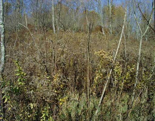 Lot 3 Brewer Road Freedom, PA 15042 - Photo 6 of 12 Land.