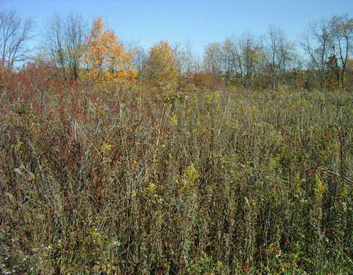 Lot 3 Brewer Road Freedom, PA 15042 - Photo 7 of 12 Land/Lot.