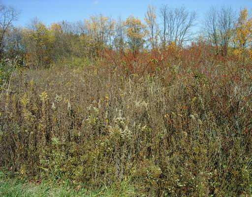 Lot 3 Brewer Road Freedom, PA 15042 - Photo 8 of 12 Land/Lot.