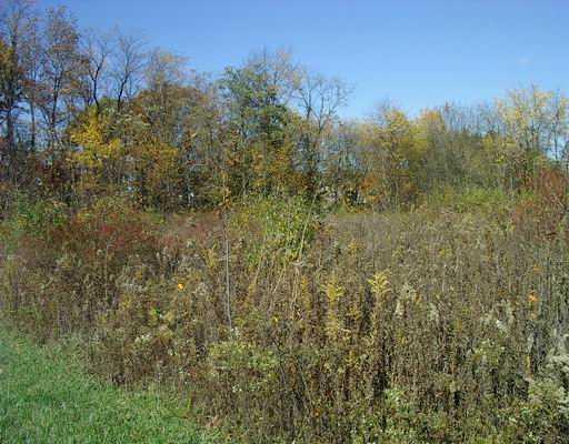 Lot 3 Brewer Road Freedom, PA 15042 - Photo 9 of 12 Land/Lot.