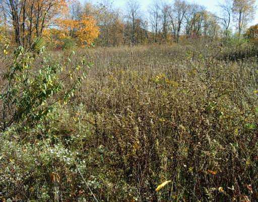 Lot 3 Brewer Road Freedom, PA 15042 - Photo 10 of 12 Land/Lot.