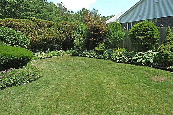 368 South Border Road Winchester, MA 01890 - Photo 13 of 16