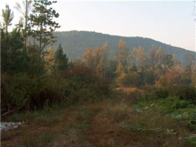 1 East Preston McDaniel Road Pickens, SC 29671 - Photo 1 of 2