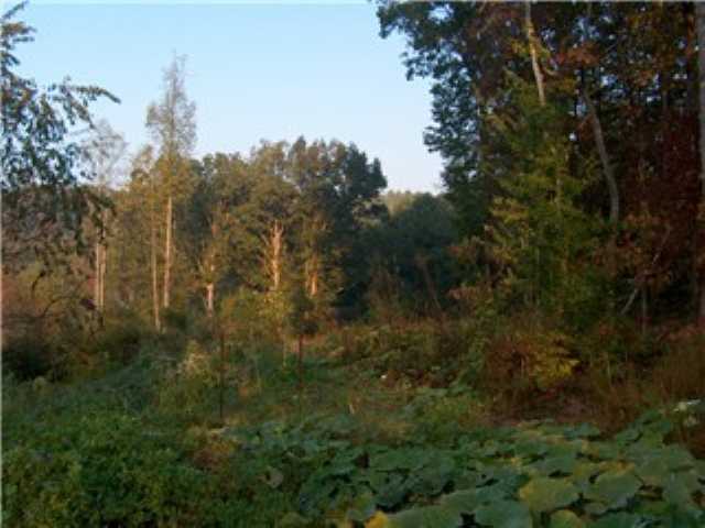 1 East Preston McDaniel Road Pickens, SC 29671 - Photo 2 of 2