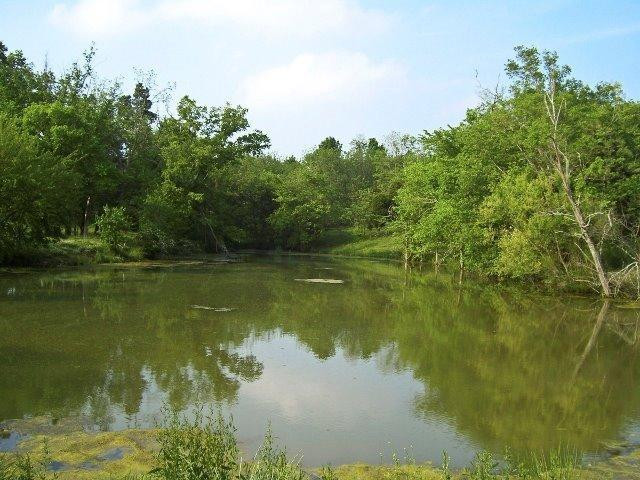 501 Gunnell Road Georgetown, KY 40324 - Photo 7 of 14 Photo 7