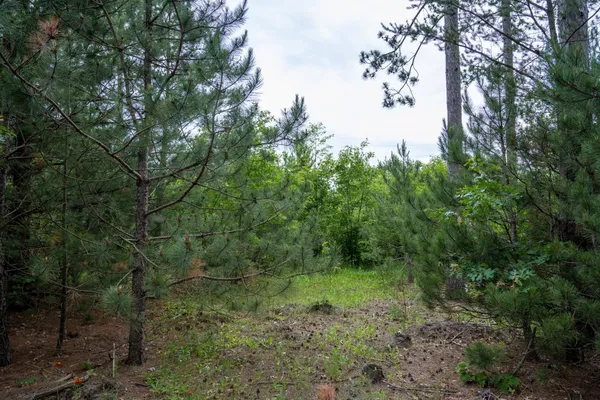 $35,000 | Lot 1 Bollig, Nekoosa, WI 54457