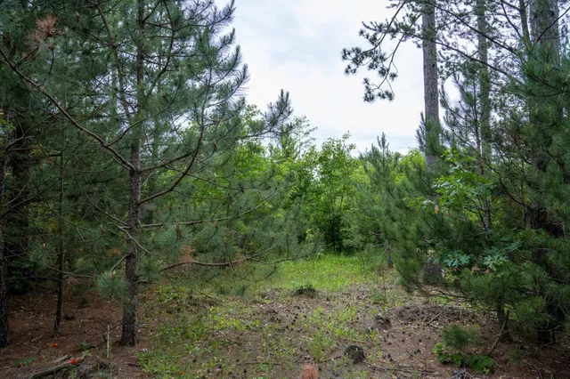 $35,000 | Lot 1 Bollig, Nekoosa, WI 54457