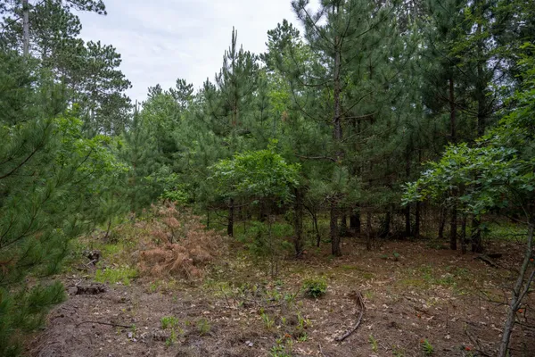 $35,000 | Lot 1 Bollig, Nekoosa, WI 54457