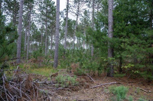 $35,000 | Lot 1 Bollig, Nekoosa, WI 54457