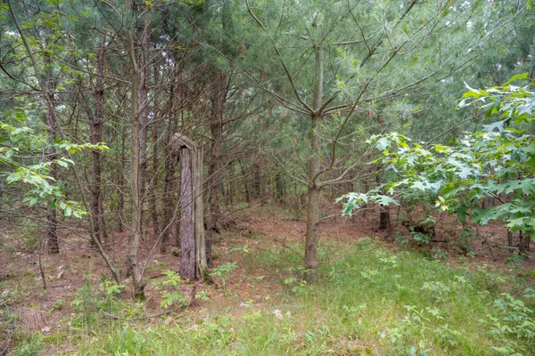 $35,000 | Lot 1 Bollig, Nekoosa, WI 54457