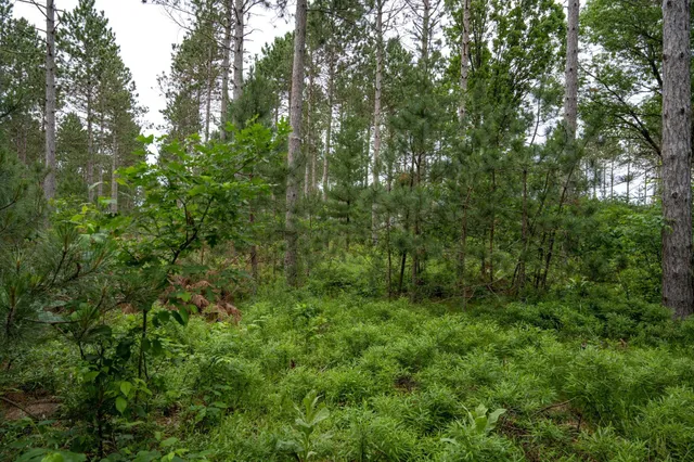 $35,000 | Lot 1 Bollig, Nekoosa, WI 54457