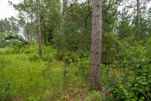 $35,000 | Lot 1 Bollig, Nekoosa, WI 54457