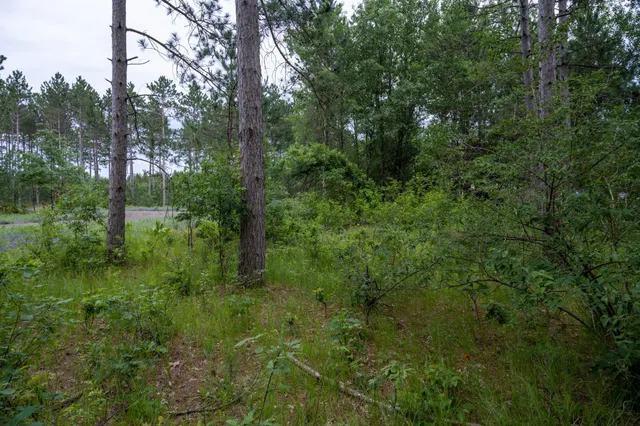 $35,000 | Lot 1 Bollig, Nekoosa, WI 54457