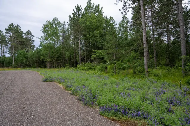 $35,000 | Lot 1 Bollig, Nekoosa, WI 54457