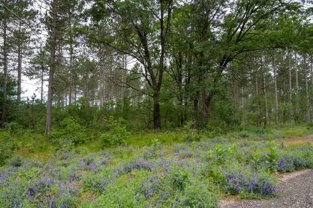 $35,000 | Lot 1 Bollig, Nekoosa, WI 54457