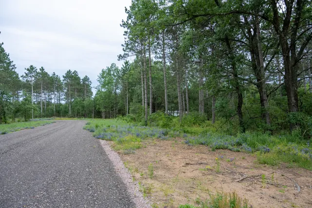 $35,000 | Lot 1 Bollig, Nekoosa, WI 54457