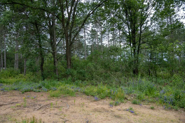 $35,000 | Lot 1 Bollig, Nekoosa, WI 54457