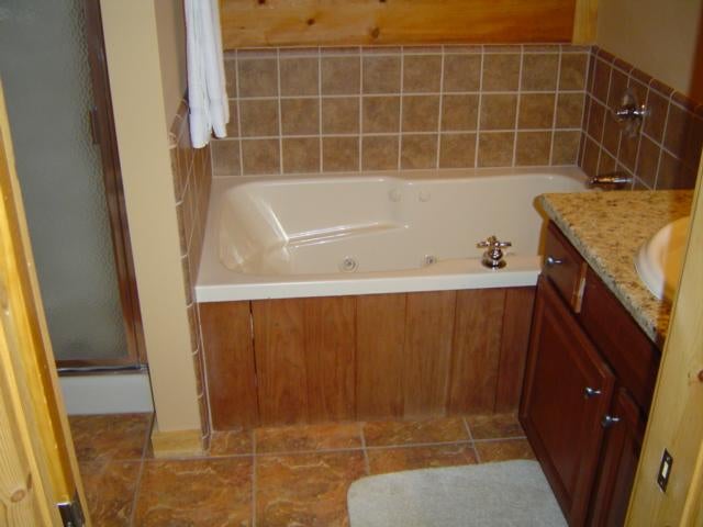 13 Loggers Run Slatyfork, WV 26209 - Photo 15 of 16 master bath