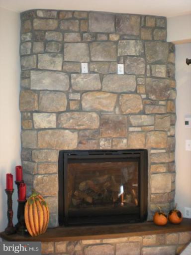 1647 Colony Road Pasadena, MD 21122 - Photo 9 of 27 Fireplace
