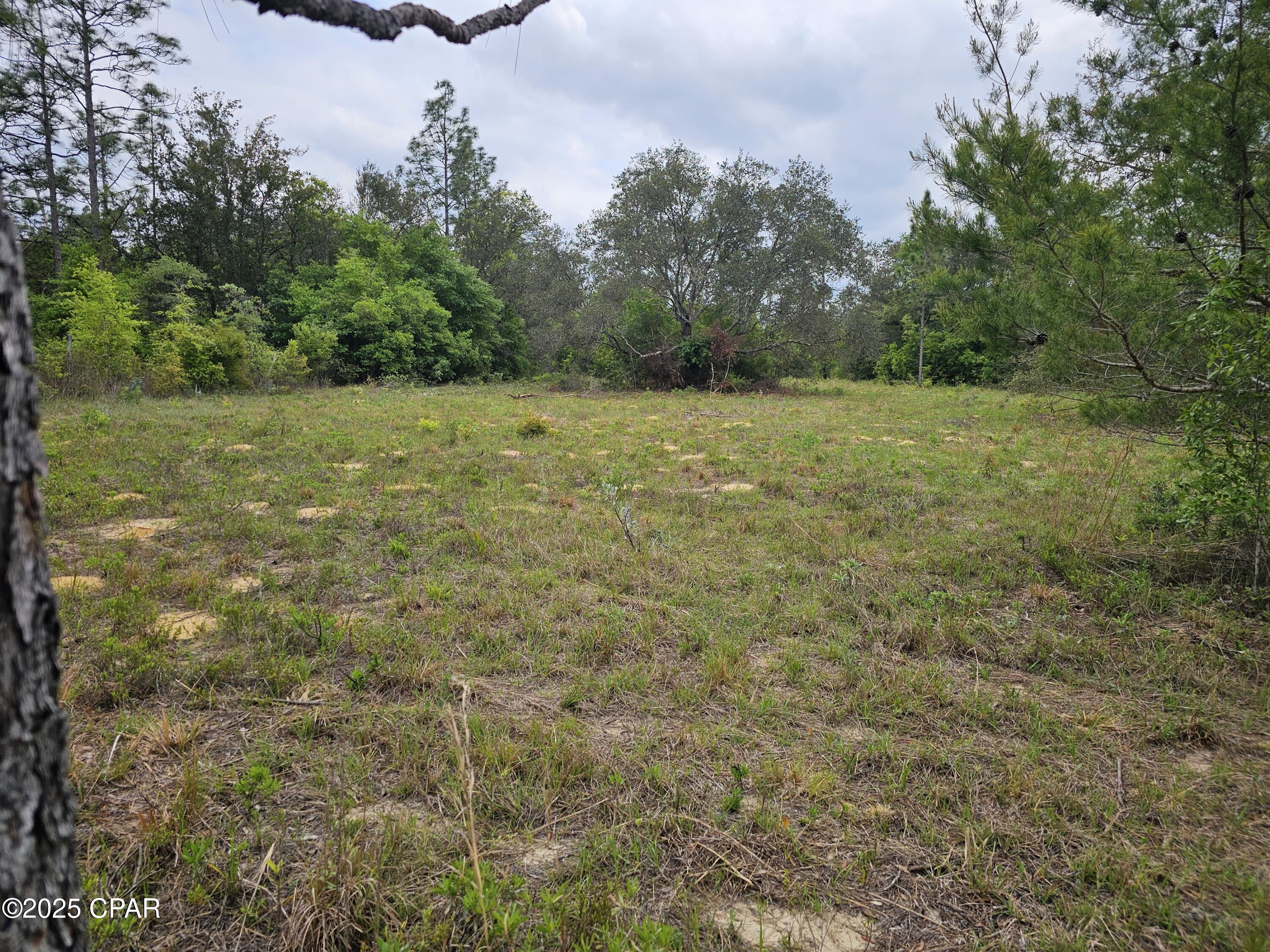 0 Sand Pond Road Chipley, FL 32428 - Photo 9 of 10 Gallery Image 9